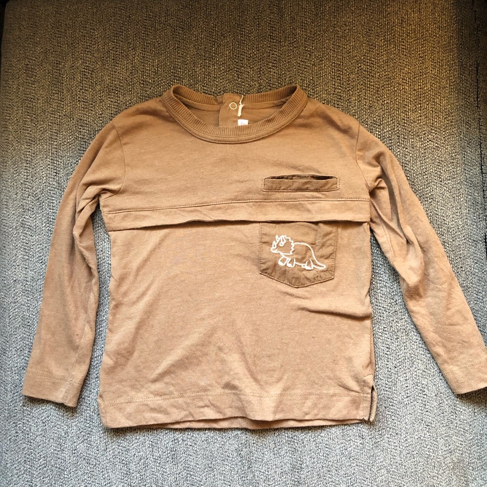 Zara boys dinosaur tee